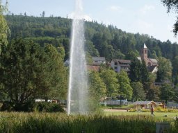 2017-08-28 Gartenschau-Herrenalb_12
